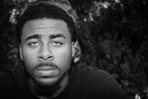 sage the gemini 